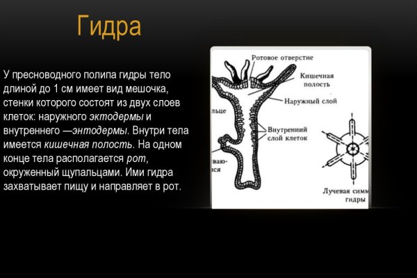 Омг омг оригинальная ссылка tor wiki online